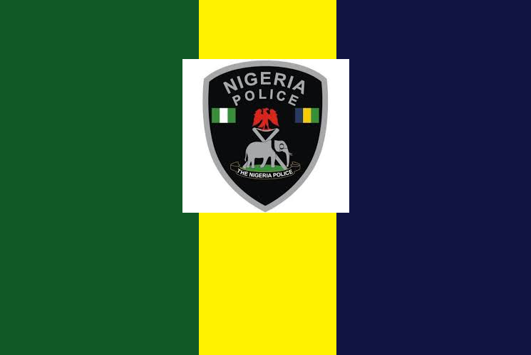 TREAT ALL GUNSHOTS, ACCIDENT VICTIM WITHOUT POLICE REPORT —IGP  TELLS DOCTORS